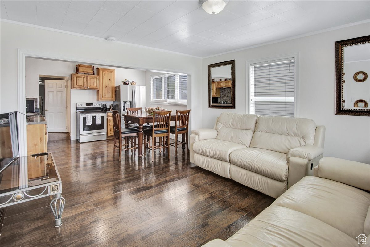 Living room with crown molding and dark wood-type flooring