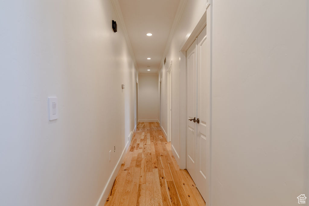 Hallway with light hardwood / wood-style floors and crown molding