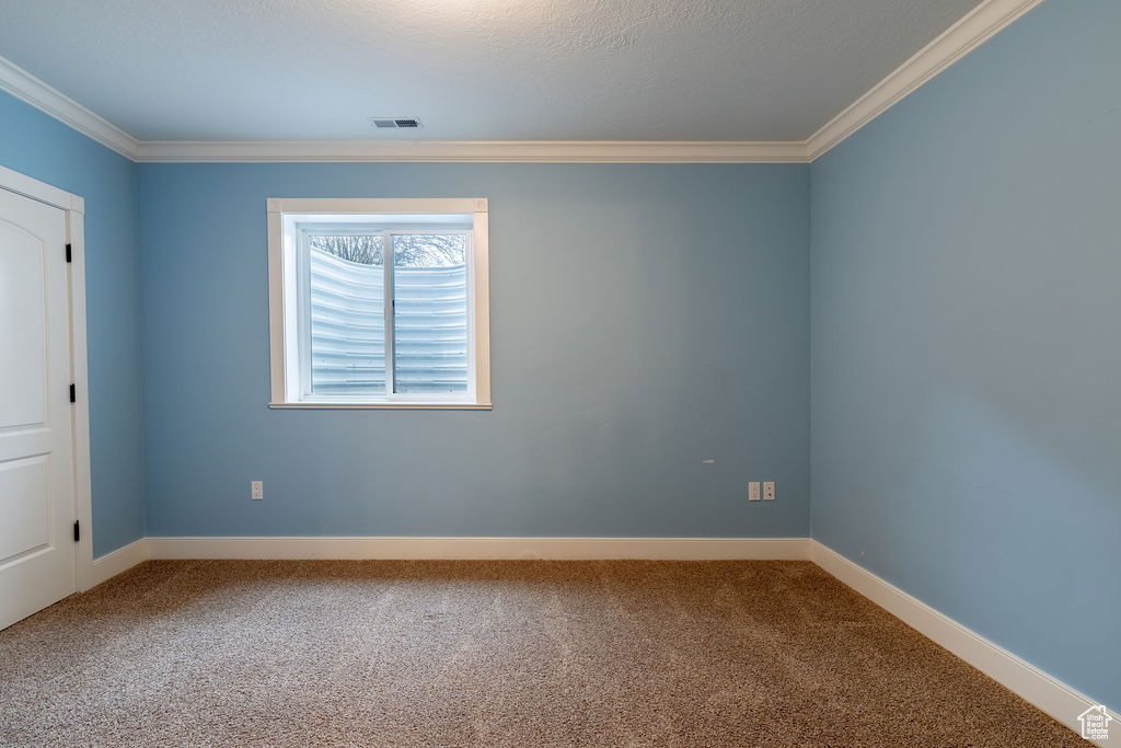 Empty room featuring ornamental molding and carpet