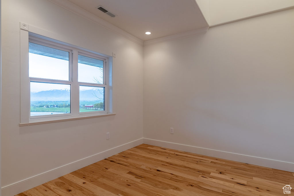 Empty room featuring a mountain view, crown molding, and light wood-type flooring