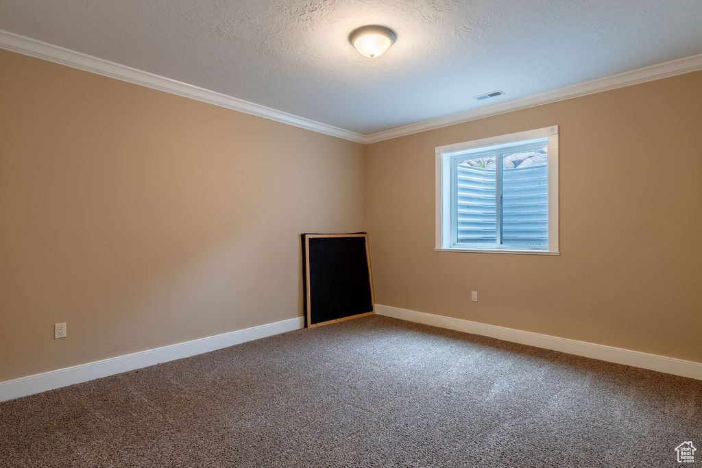 Spare room with carpet flooring, crown molding, and a textured ceiling