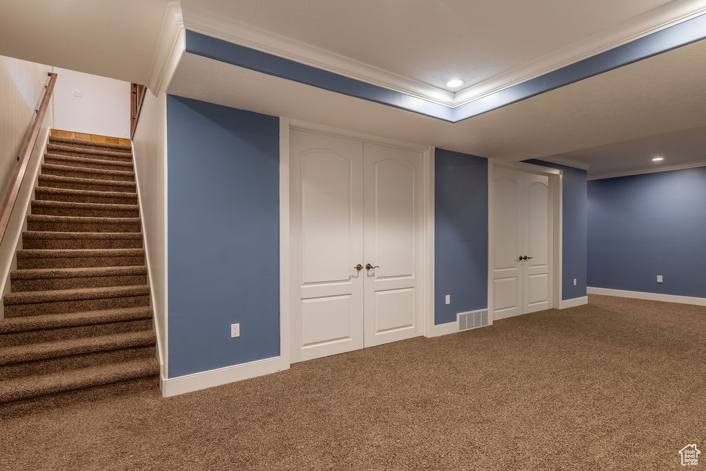 Basement with carpet and crown molding