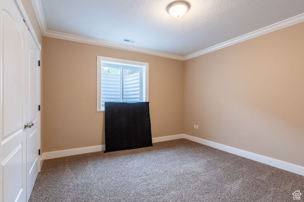 Carpeted spare room featuring crown molding