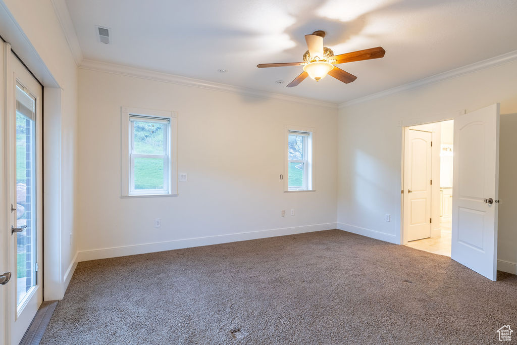 Carpeted empty room featuring ornamental molding, a healthy amount of sunlight, and ceiling fan