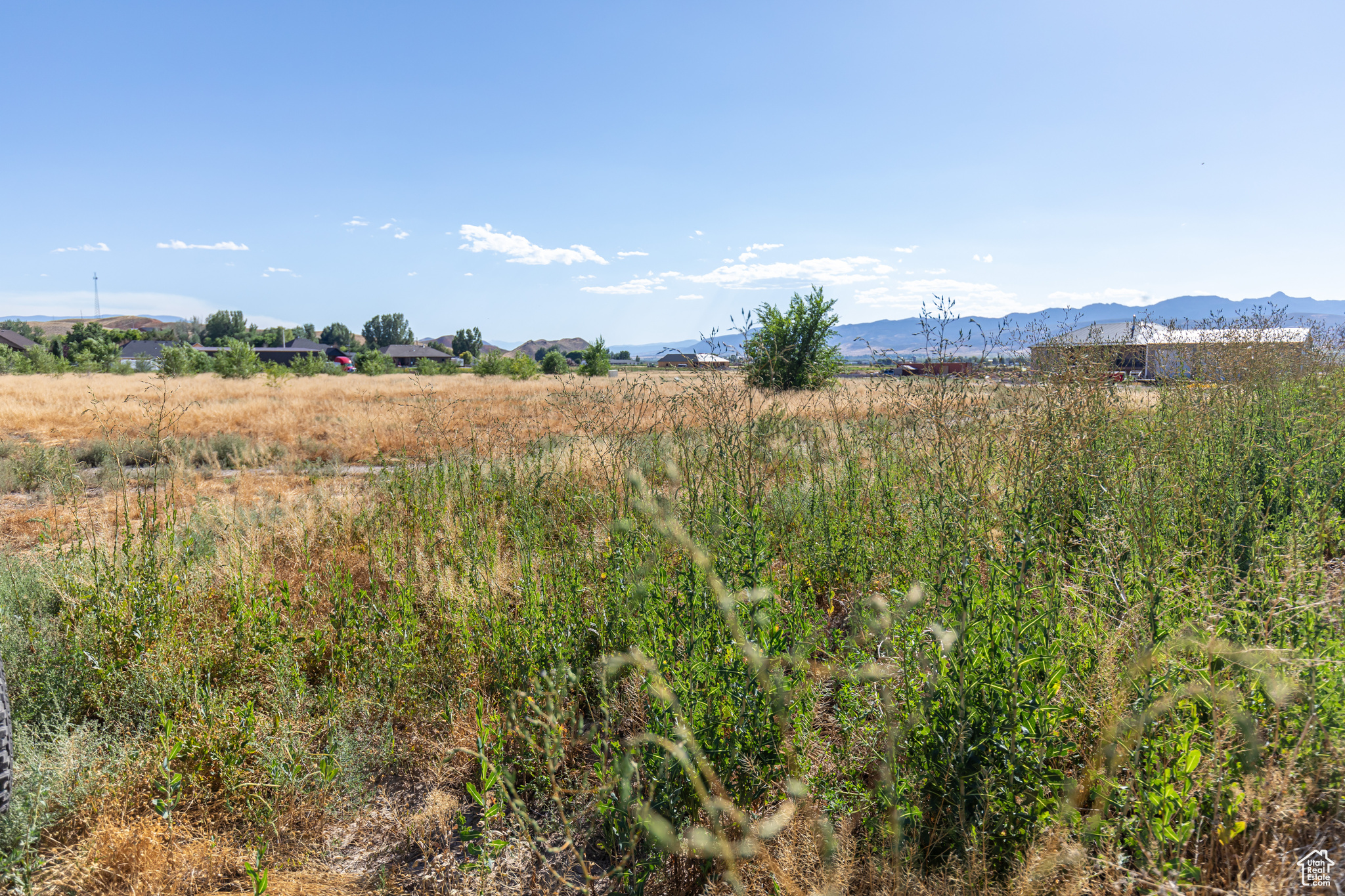 Salina, Utah 84654, ,Land,For sale,1995612