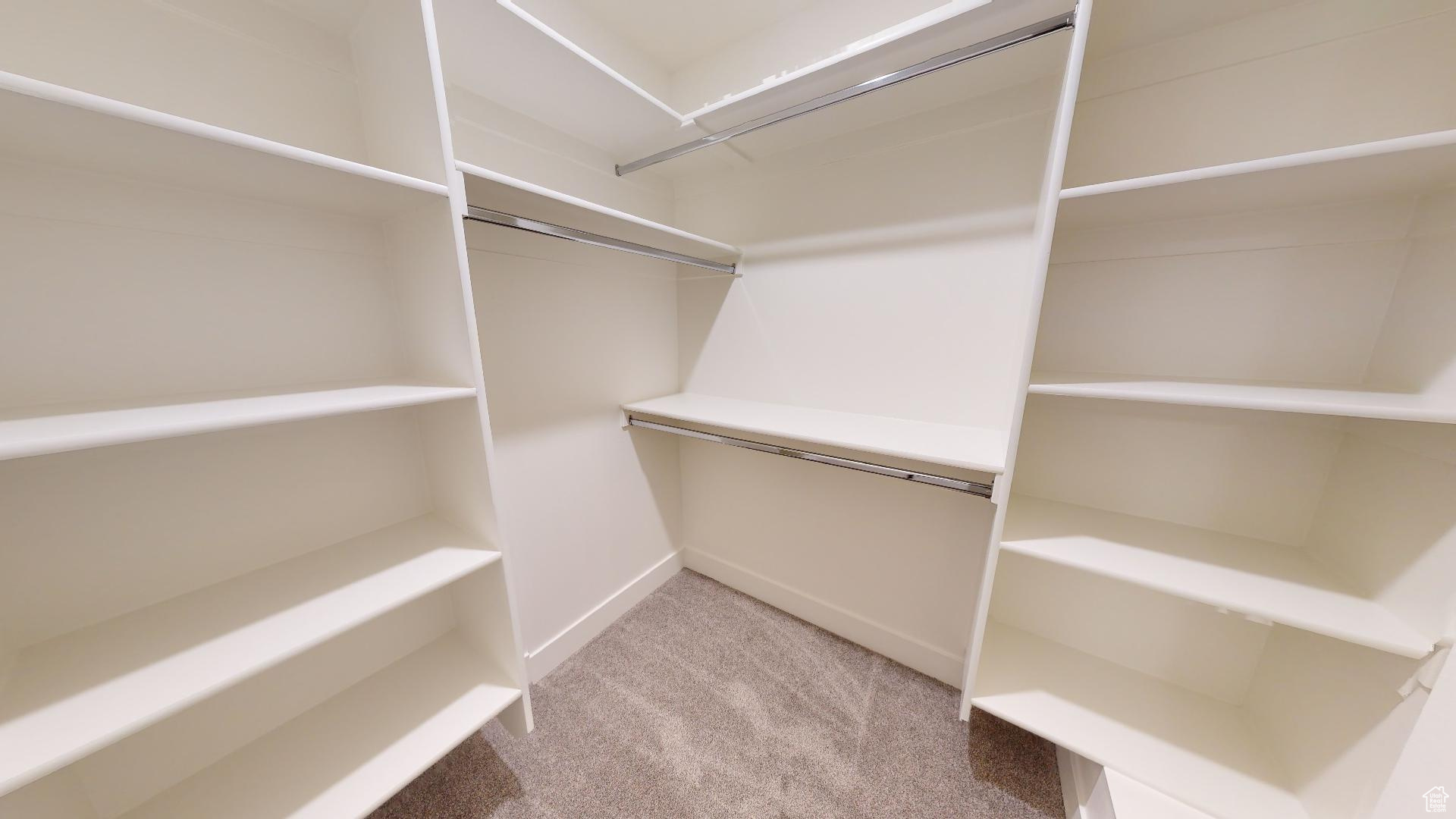 Spacious closet with carpet flooring