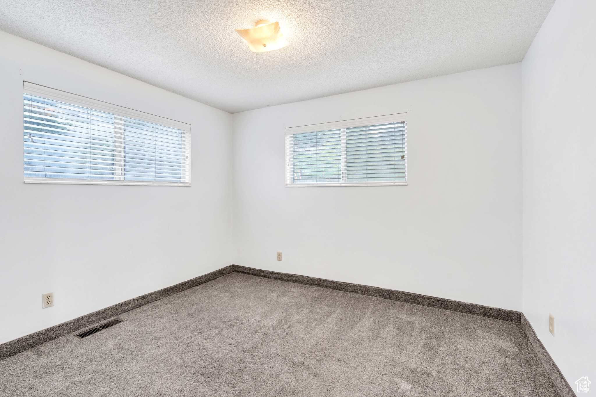 bedroom with new carpet flooring, a healthy amount of sunlight, and a textured ceiling