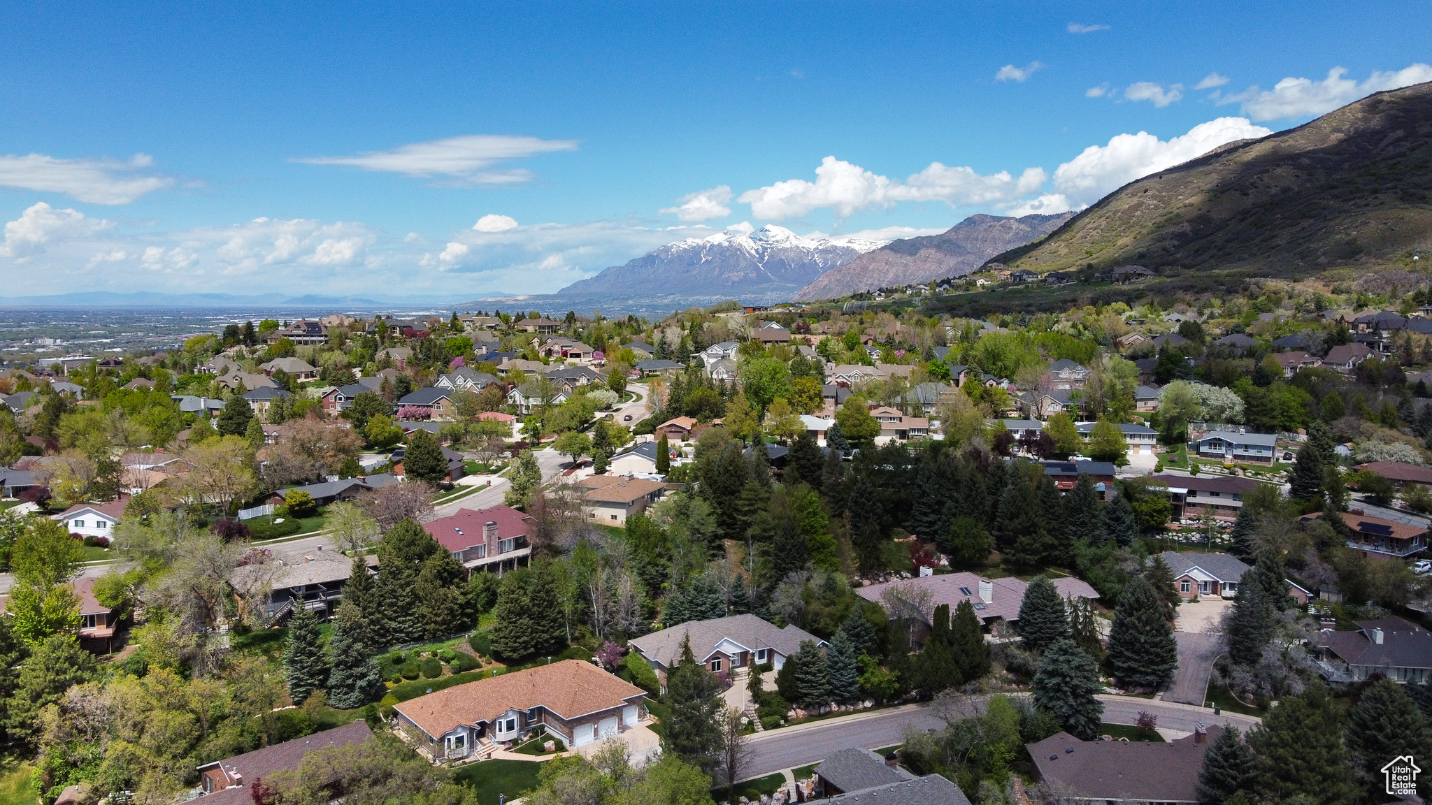 1780 E WHISPERING OAKS S, South Ogden, Utah 84403, 3 Bedrooms Bedrooms, 18 Rooms Rooms,3 BathroomsBathrooms,Residential,For sale,WHISPERING OAKS,1995695