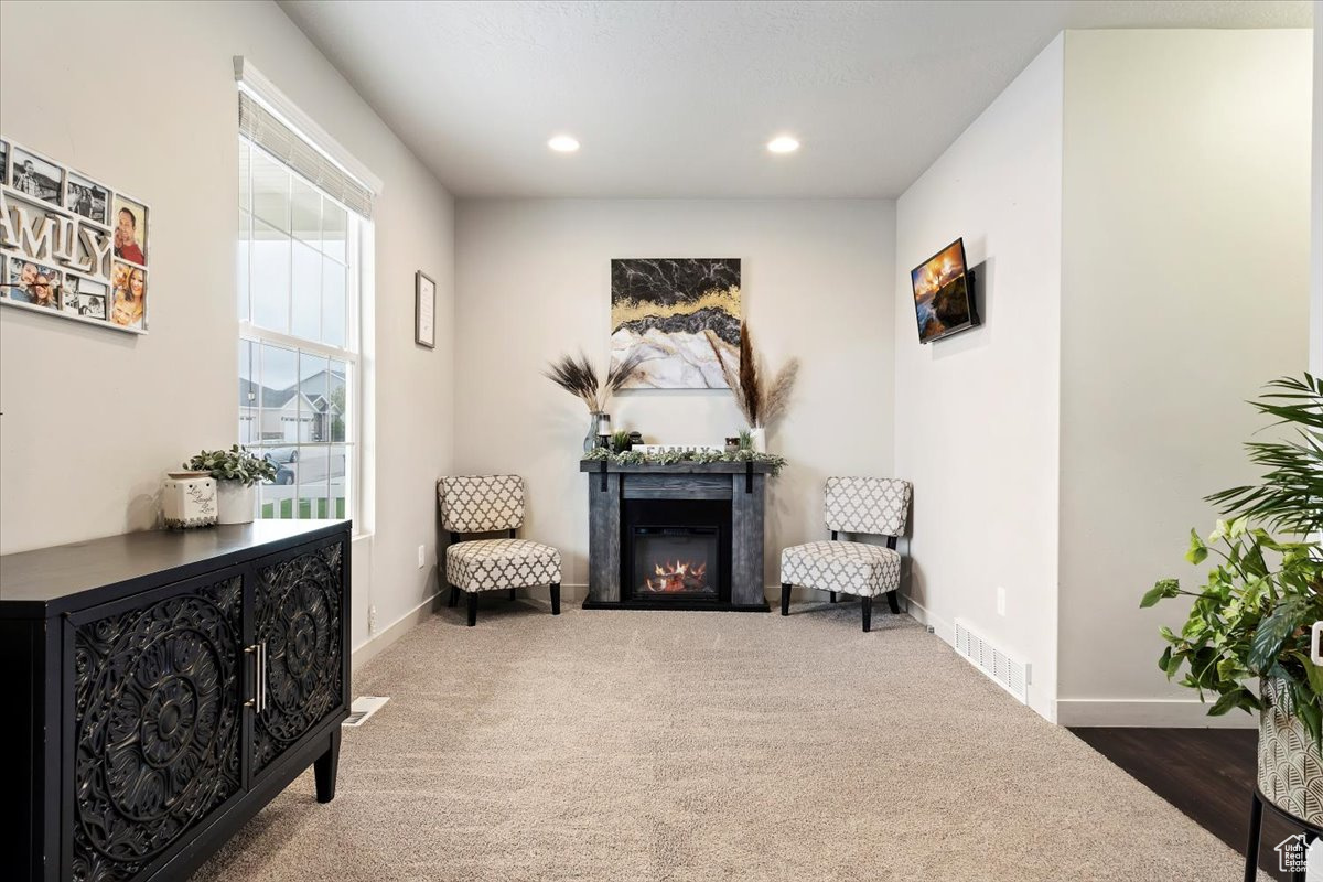 Living area featuring dark colored carpet and a high end fireplace