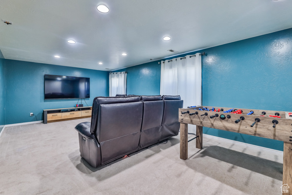Home theater with carpet floors