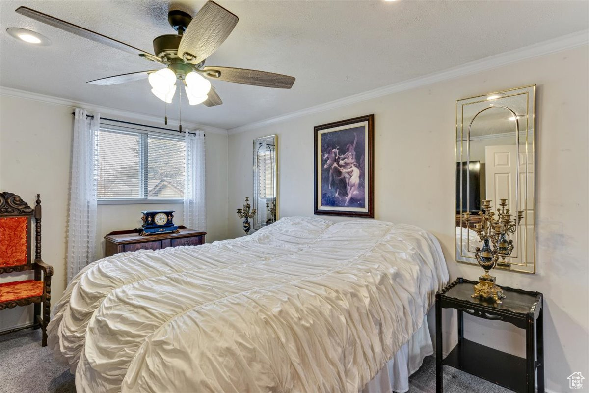 Bedroom with crown molding, ceiling fan, and carpet floors