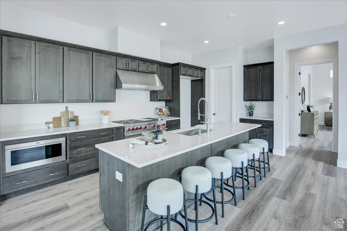 Kitchen featuring sink, light hardwood / wood-style floors, stainless steel appliances, and a kitchen island with sink