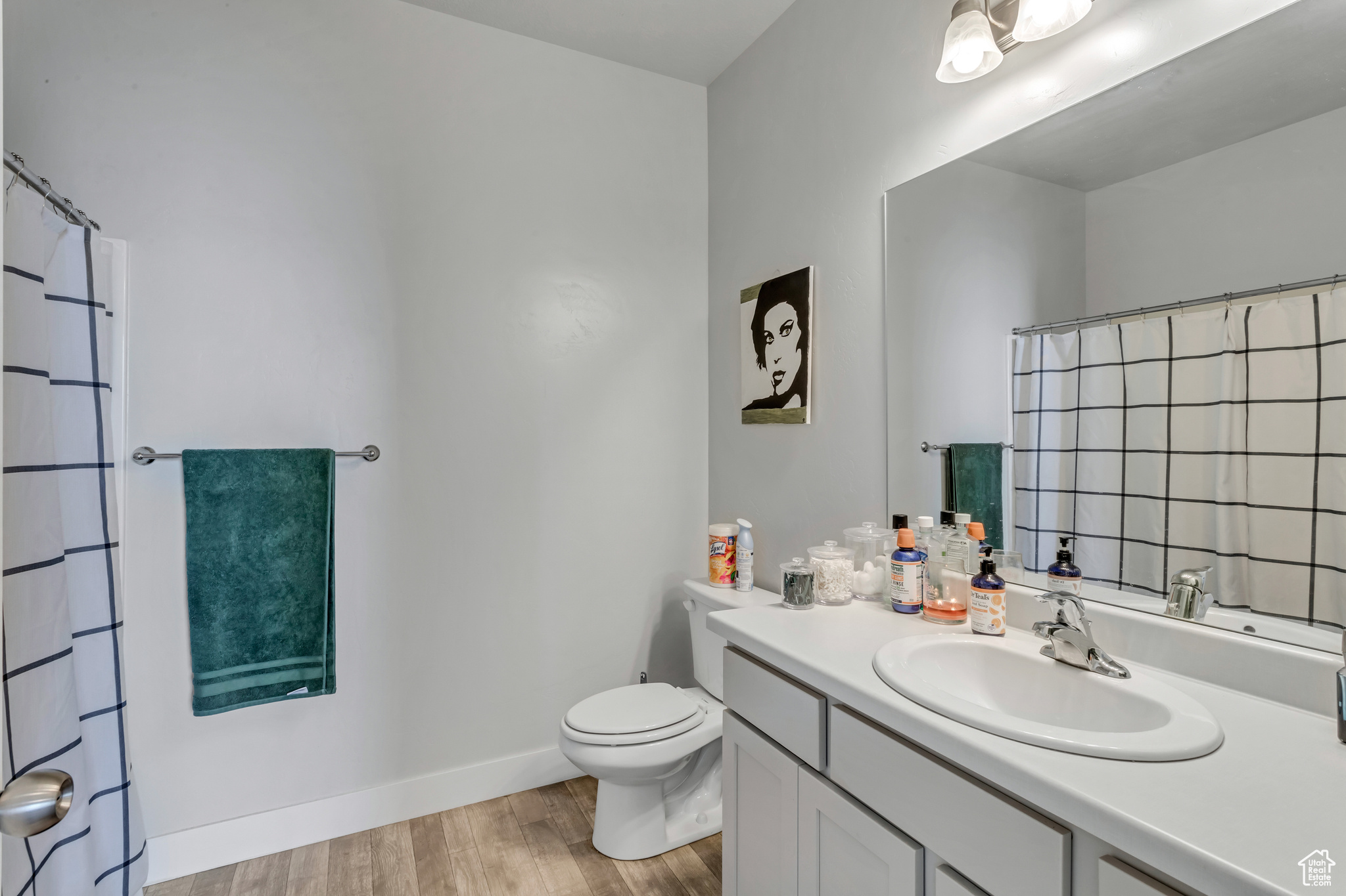 Bathroom featuring large vanity, tasteful backsplash, toilet, and hardwood / wood-style flooring