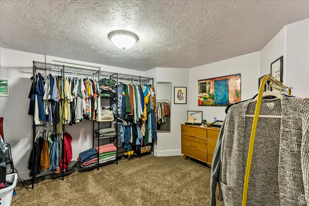 Spacious closet with carpet