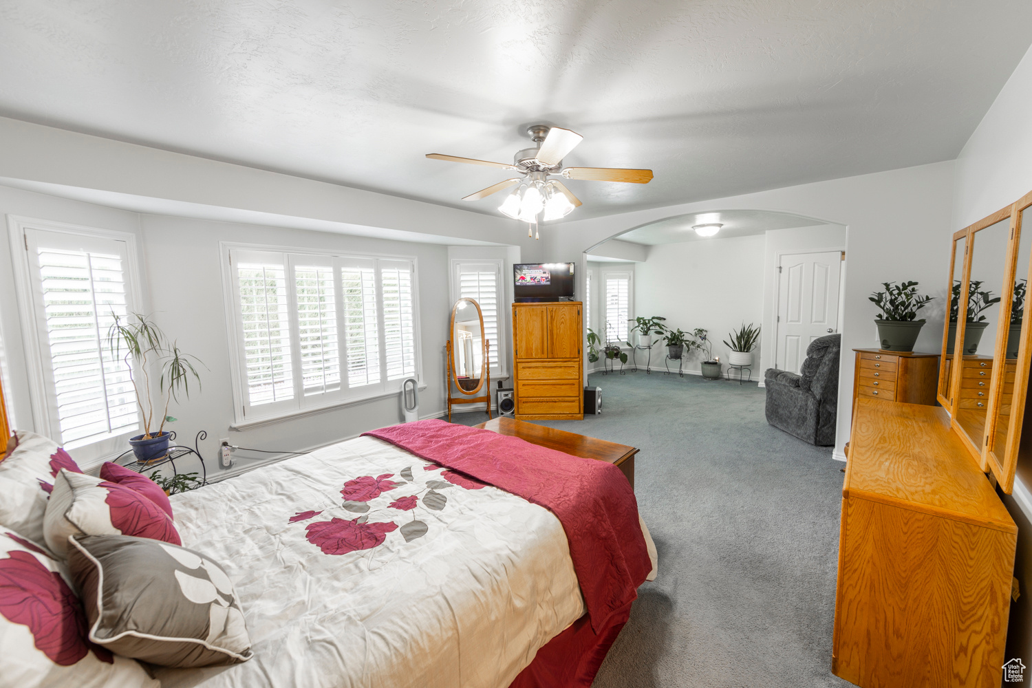 Spacious Master Bedroom with many windows for natural lighting, ceiling fan and carpet