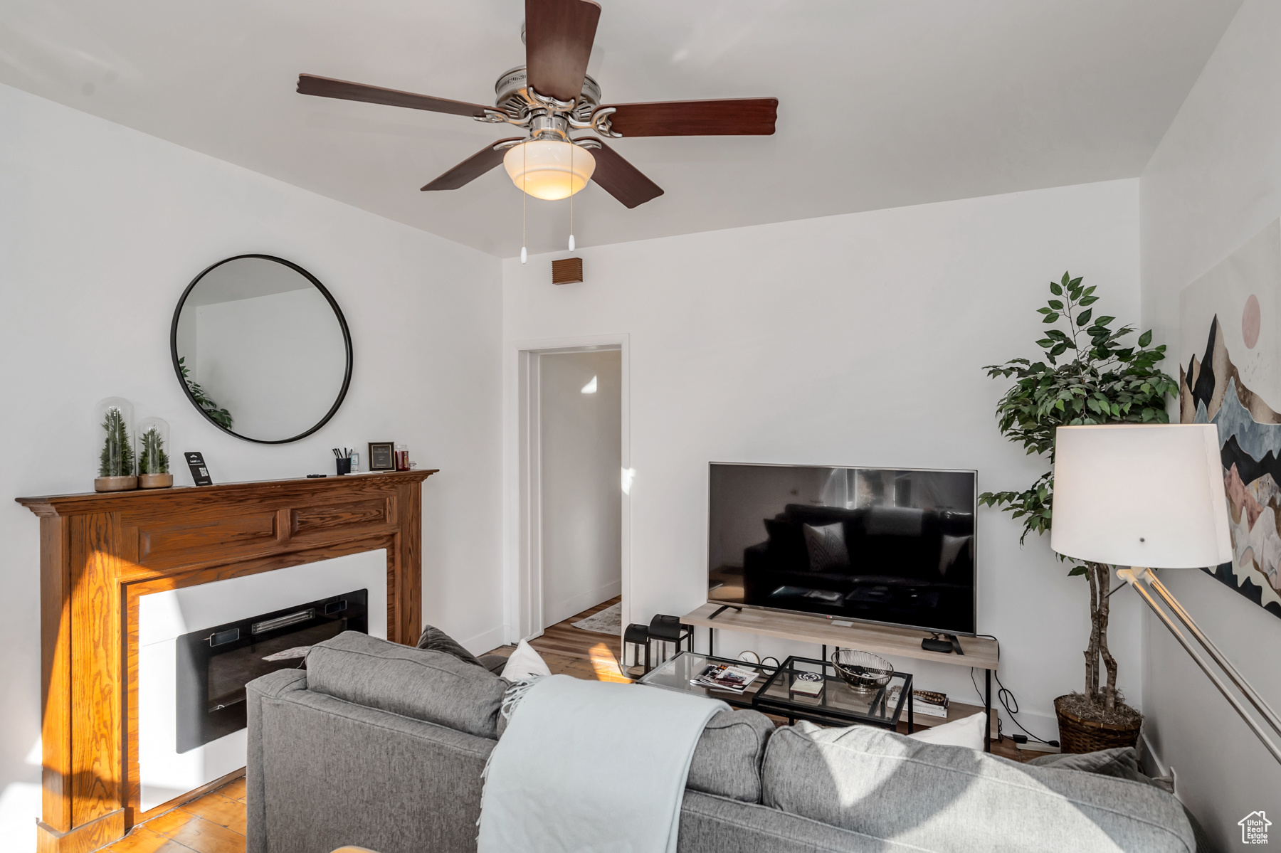 Living room featuring ceiling fan and light wood-type flooring