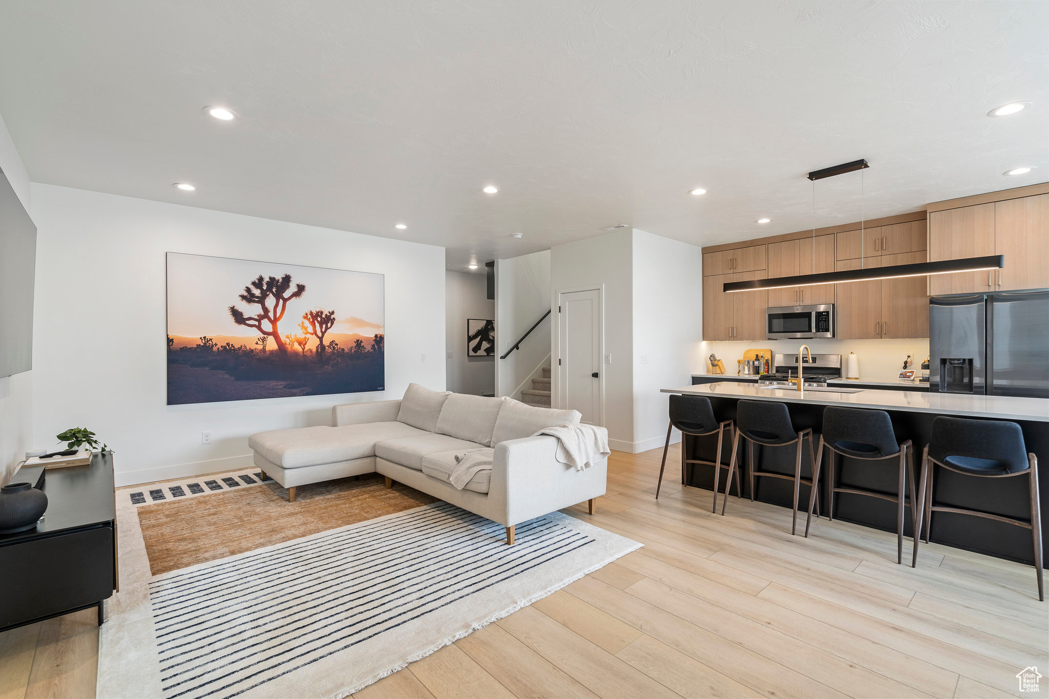 LIVING ROOM/KITCHEN AREA