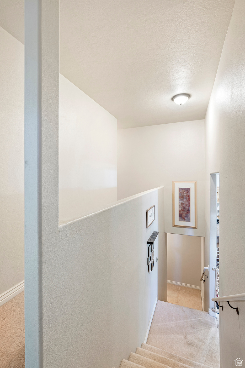 Stairs featuring light carpet