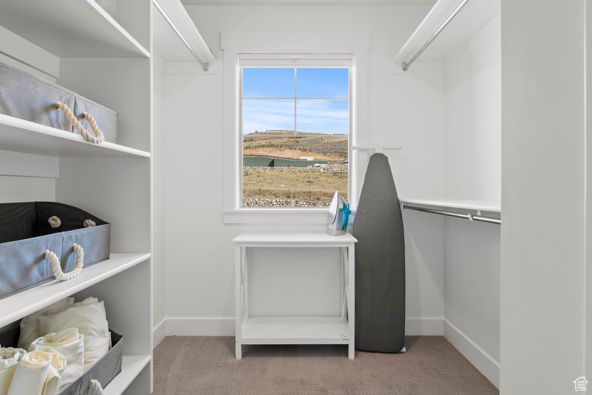 Walk in closet with carpet floors