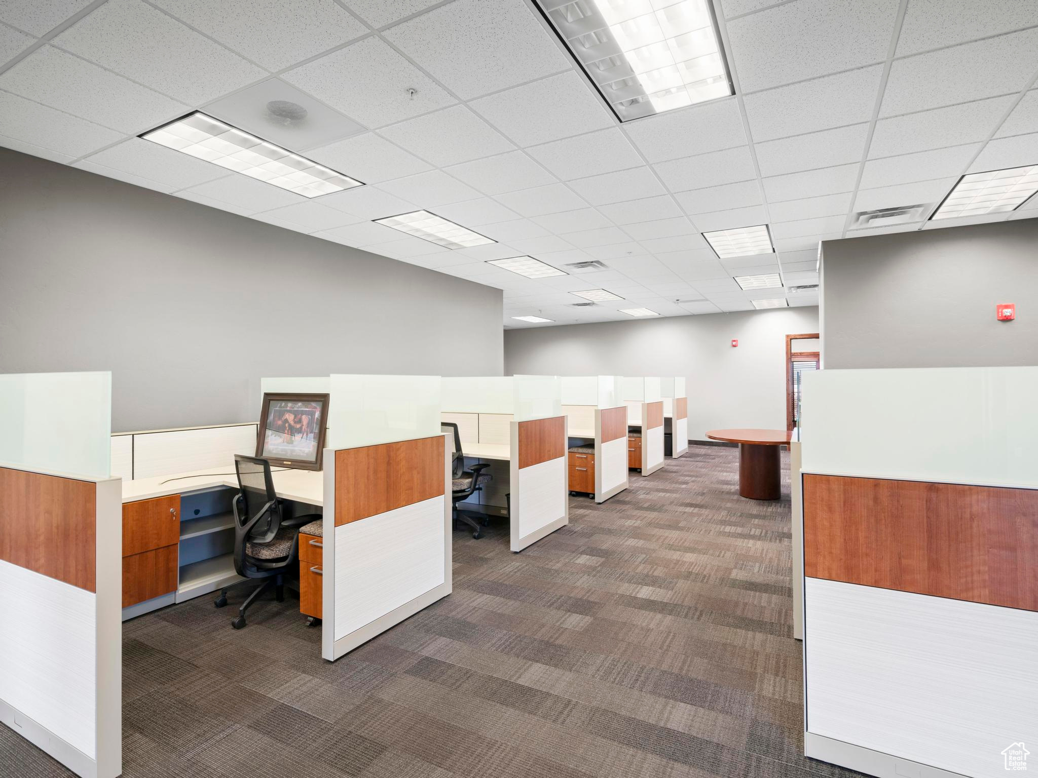 Office space with dark colored carpet, built in desk, and a paneled ceiling