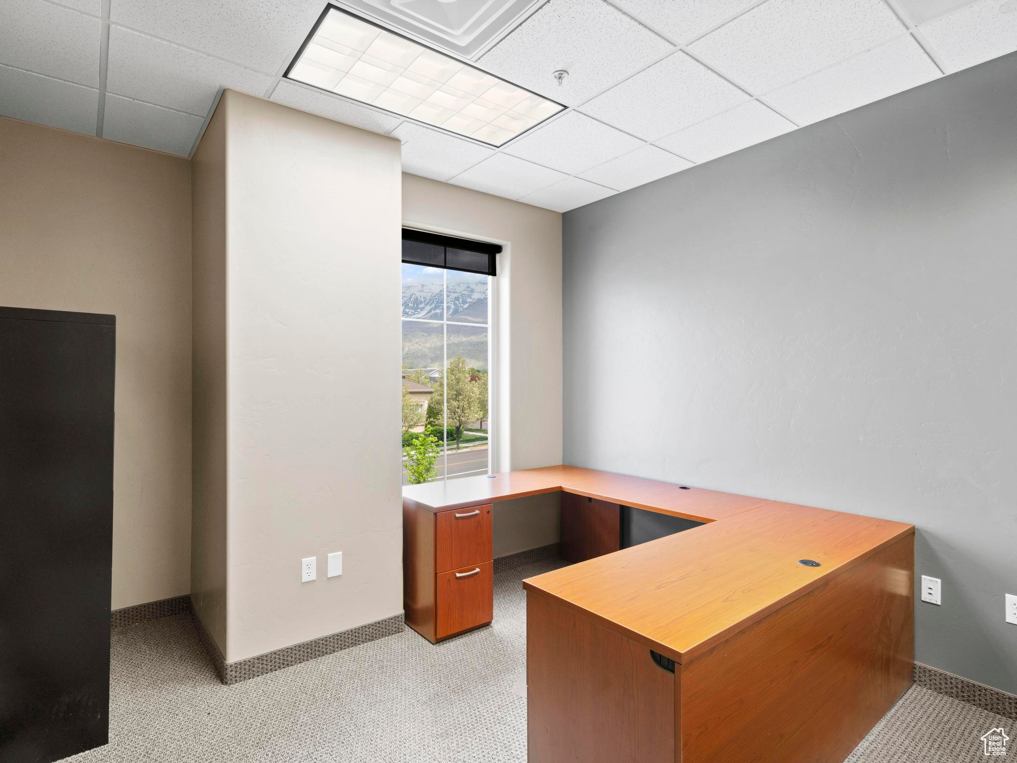 Carpeted office space featuring a paneled ceiling