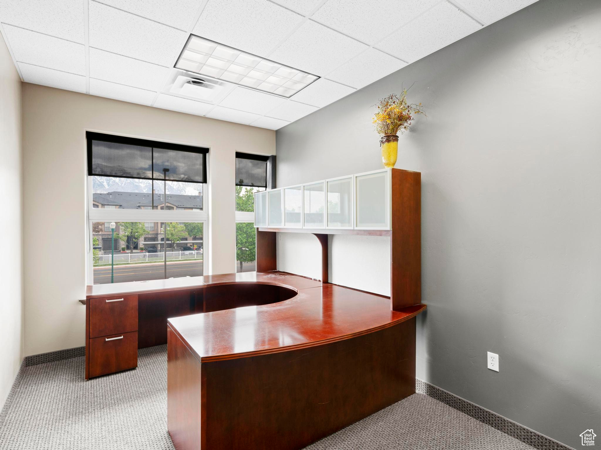 Unfurnished office featuring light colored carpet and a drop ceiling