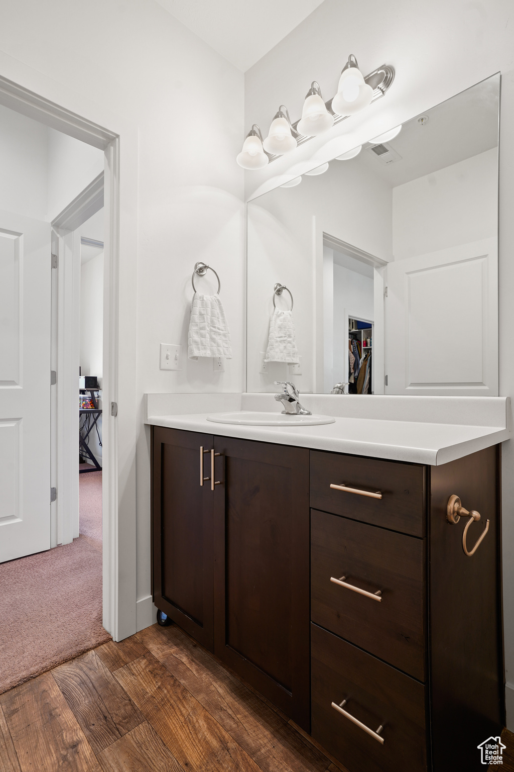 Bathroom with vanity with extensive cabinet space and hardwood / wood-style floors