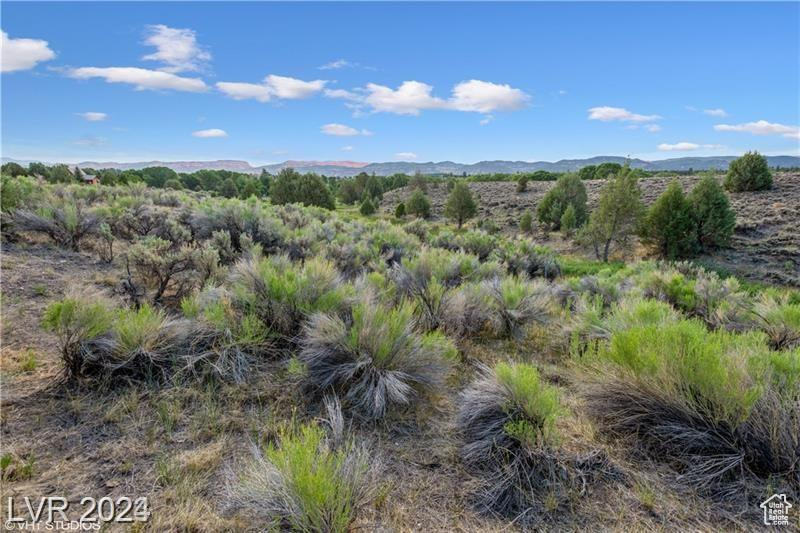 563 S OLD US HIGHWAY 89 #2, Hatch, Utah 84735, ,Land,For sale,OLD US HIGHWAY 89,1996391