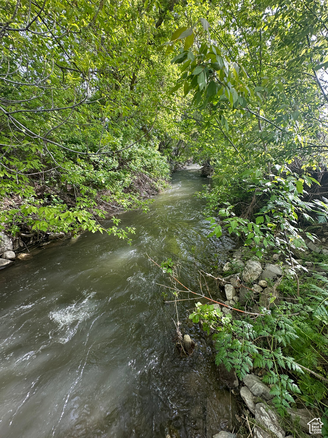 View of mother earth's splendor featuring a water view