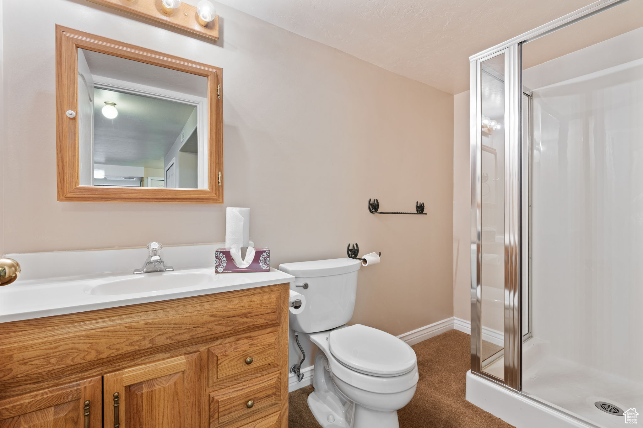 3/4 Bathroom in basement featuring vanity, toilet, and a shower with door