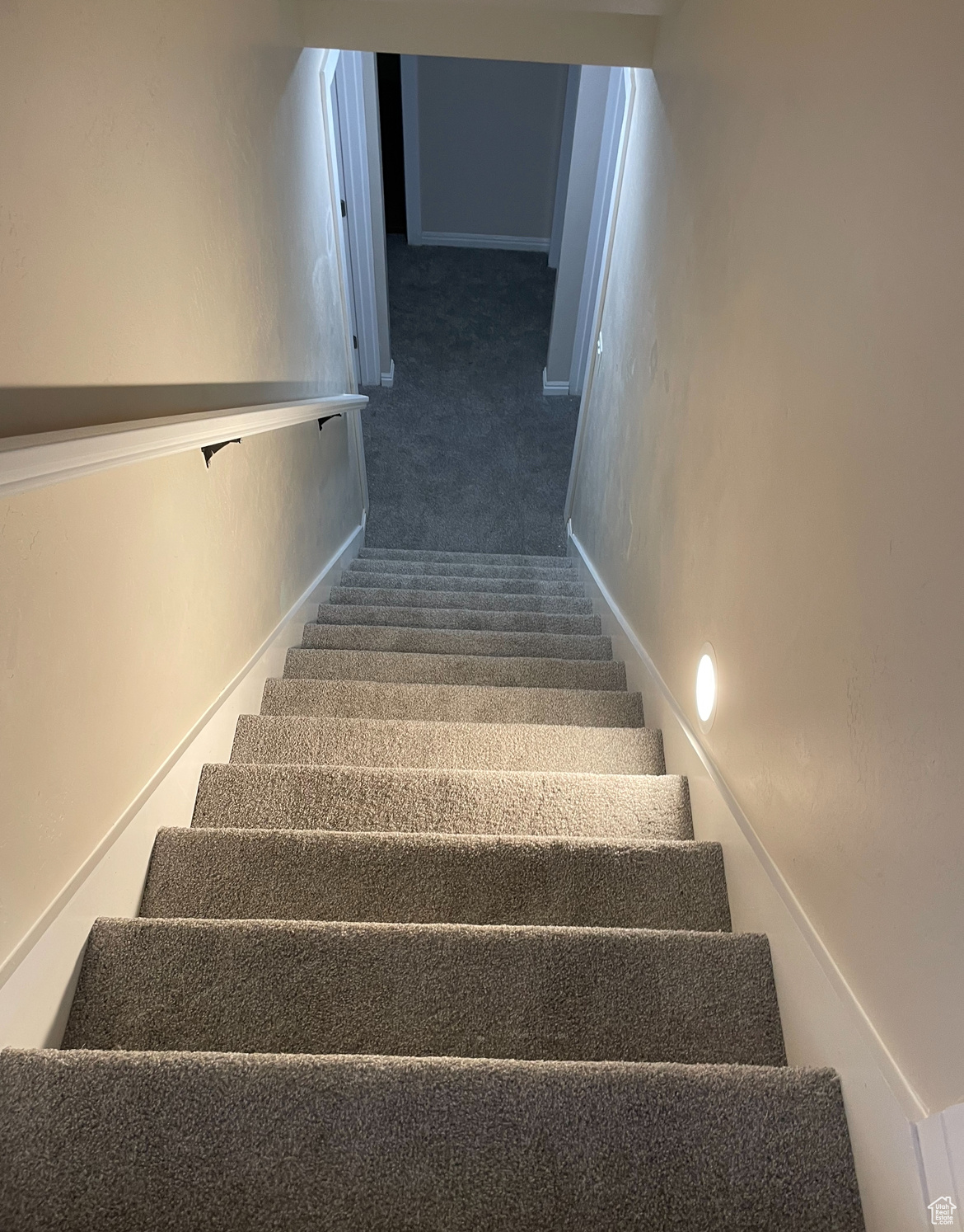 Stairs with carpet flooring