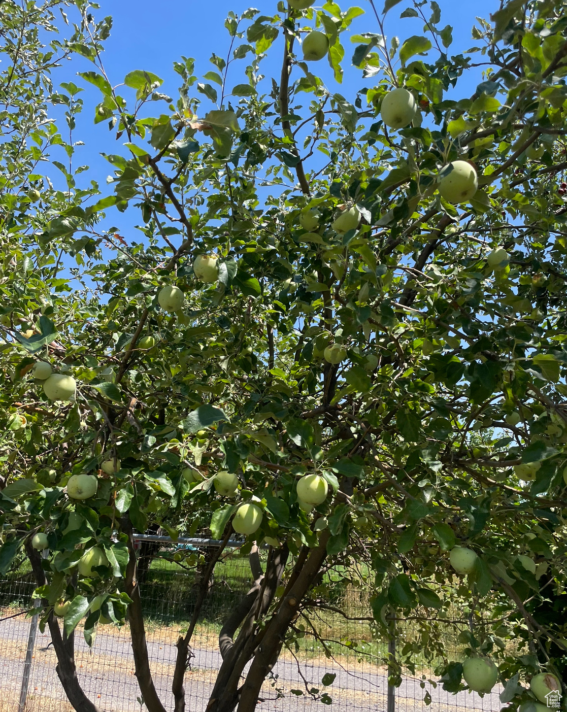 View of nature