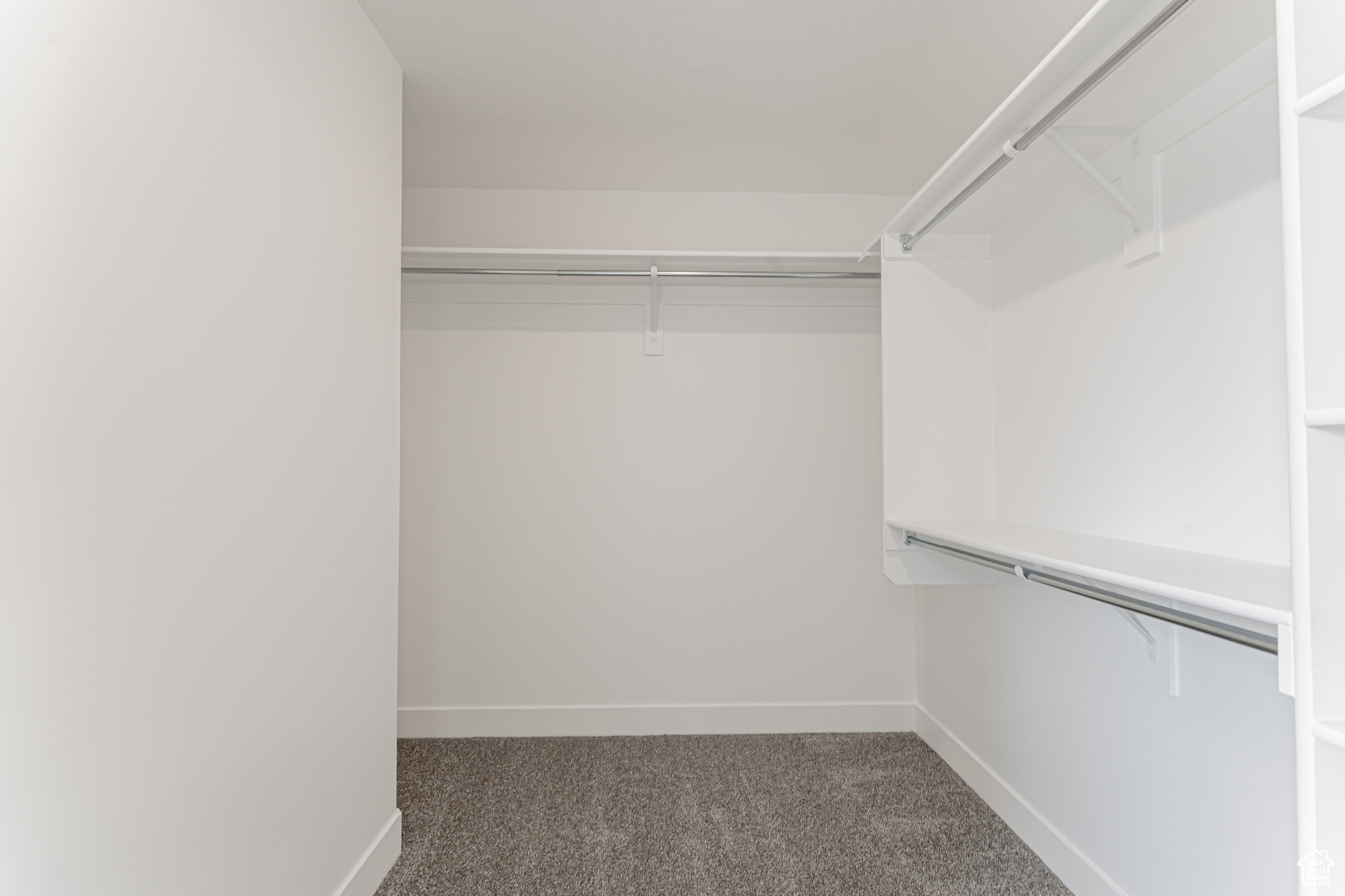 Spacious closet featuring carpet floors