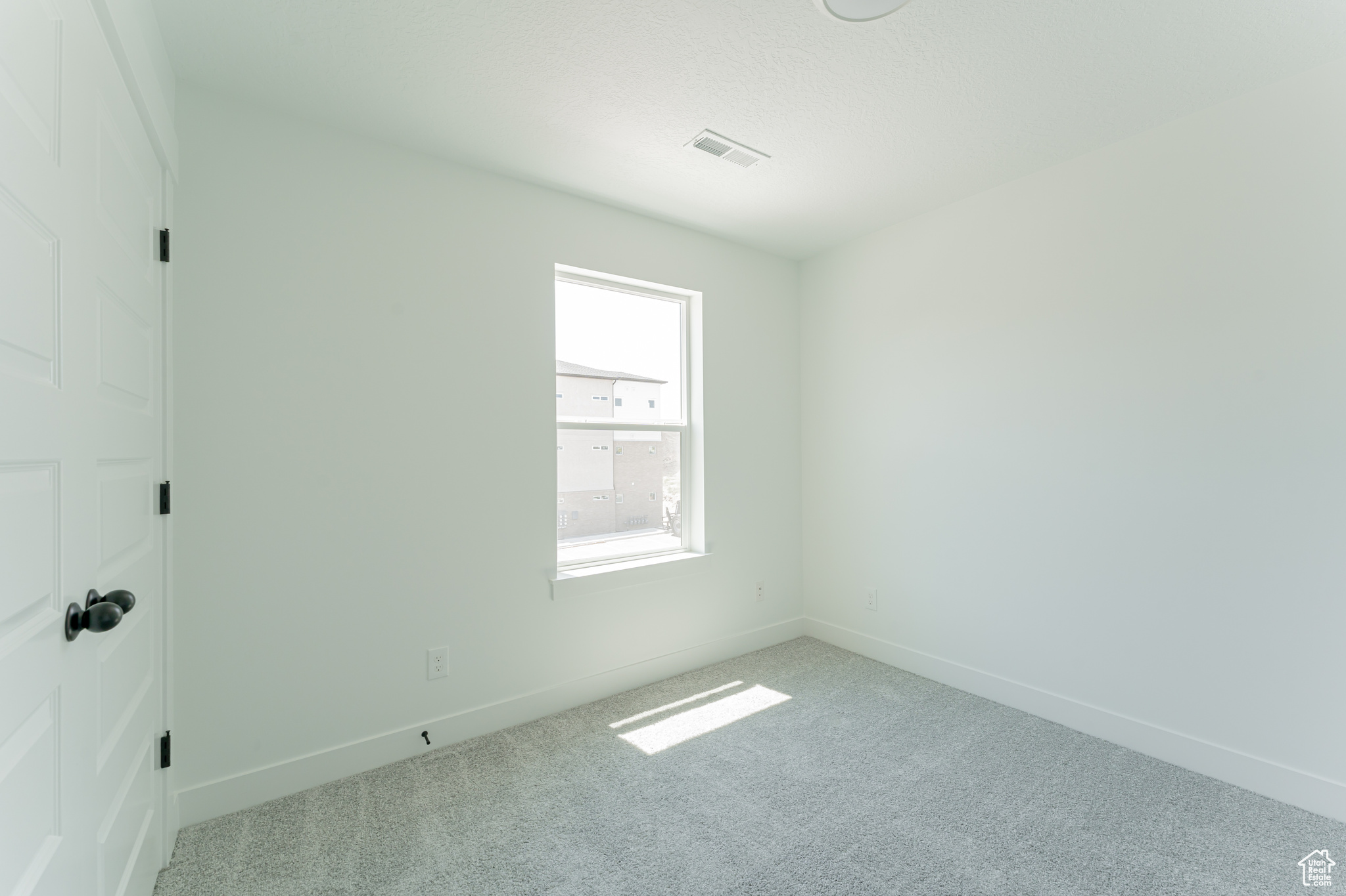 Unfurnished room featuring light carpet and a wealth of natural light