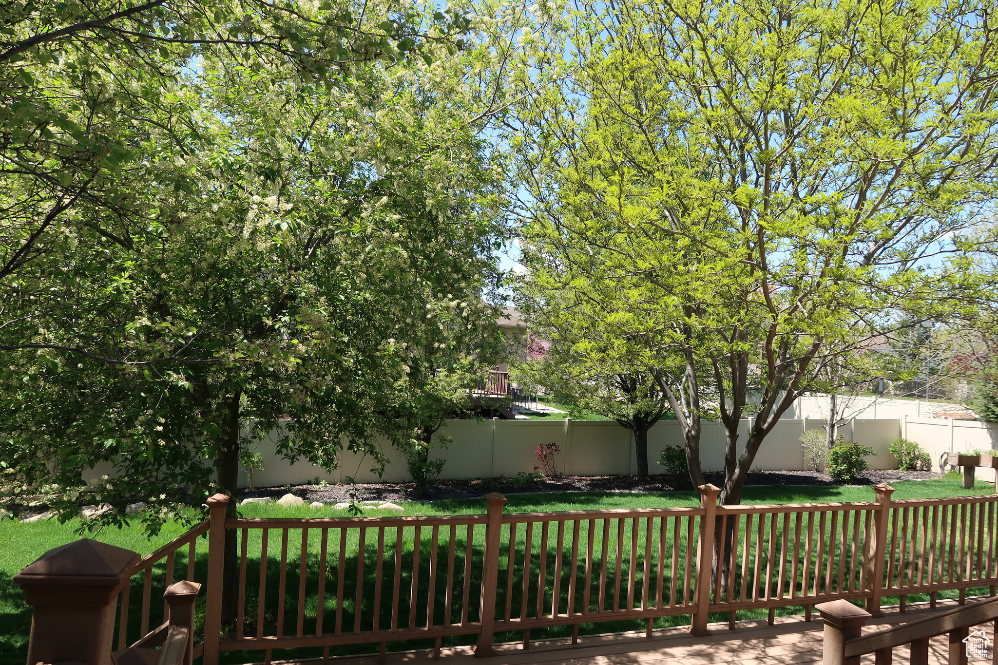 Trex deck with backyard of mature trees and fruit trees