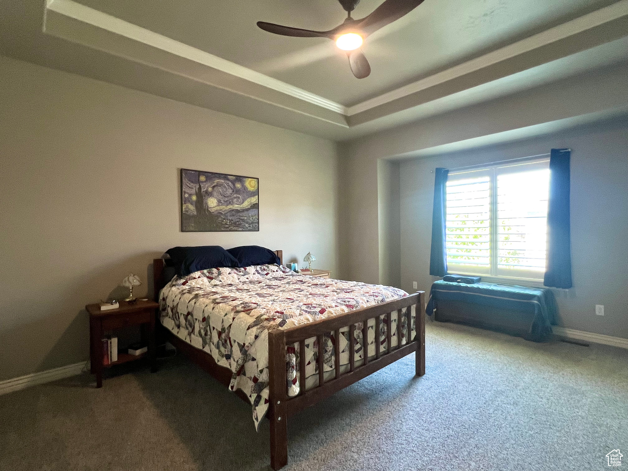 Main Bedroom featuring ceiling fan, dark carpet, and a tray ceiling