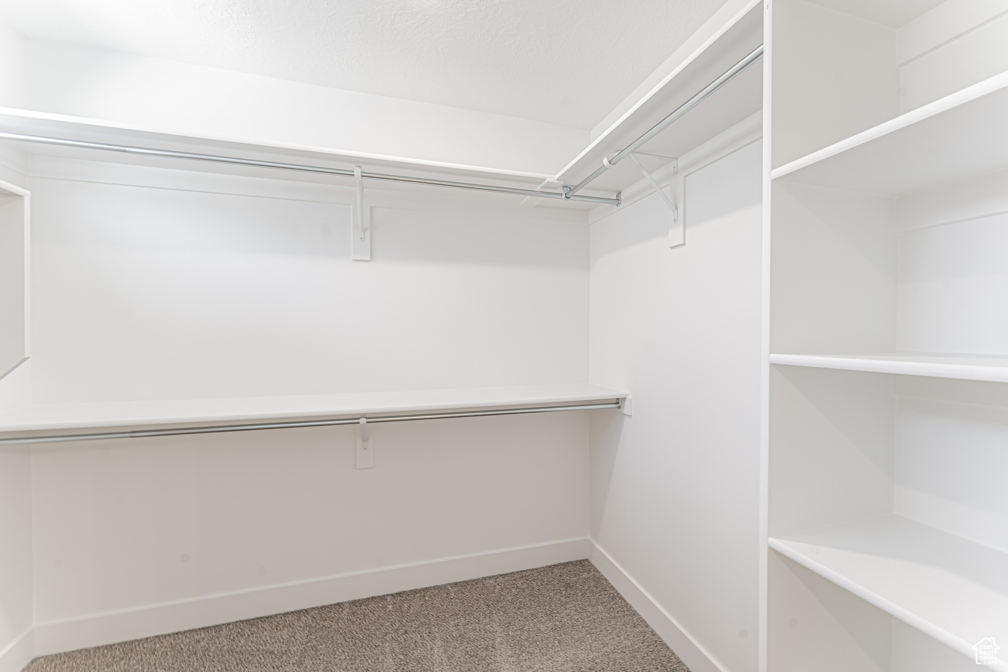 Spacious closet featuring carpet