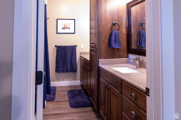 Bathroom with hardwood / wood-style flooring and large vanity