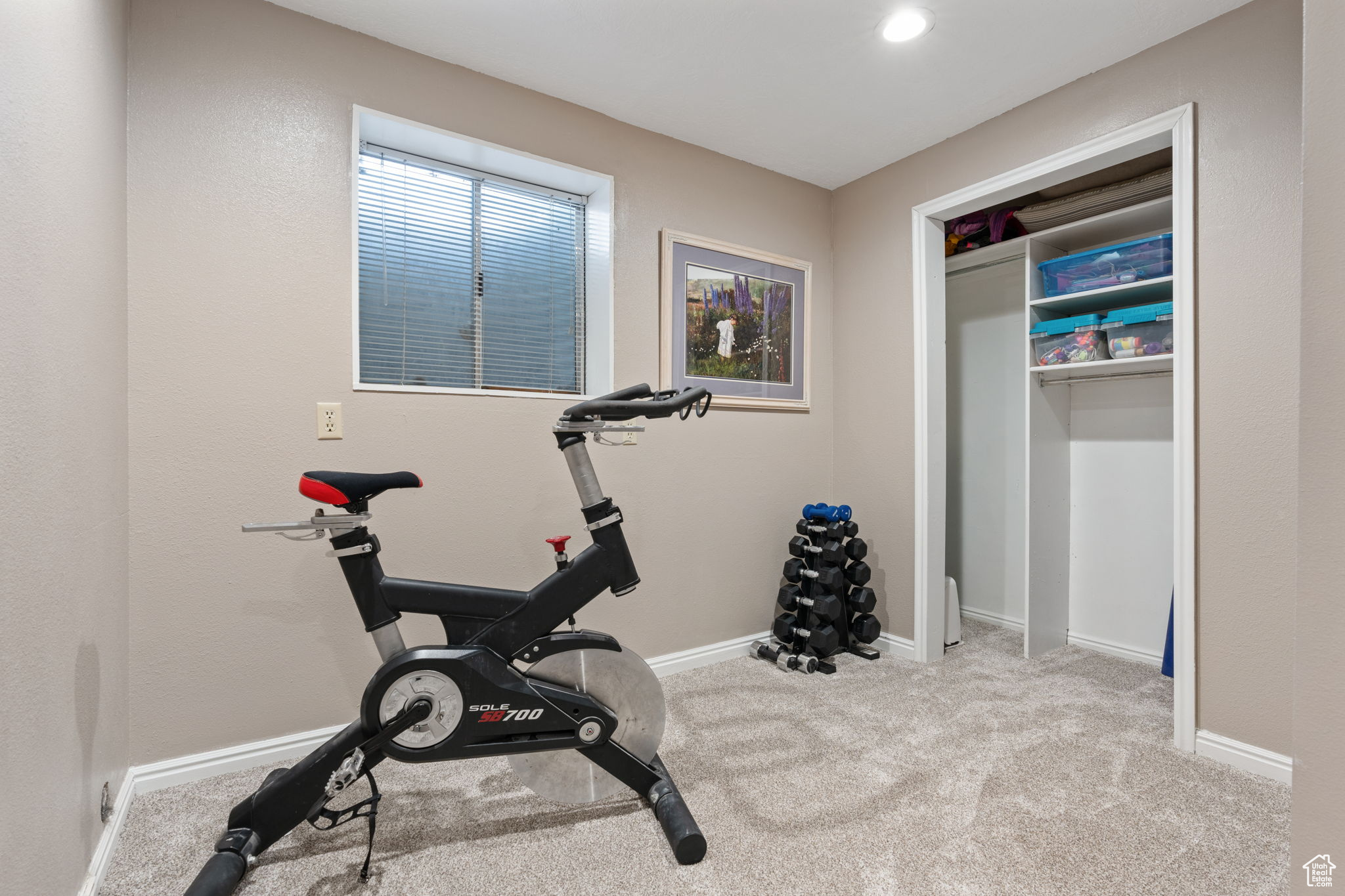 Workout room/ bedroom