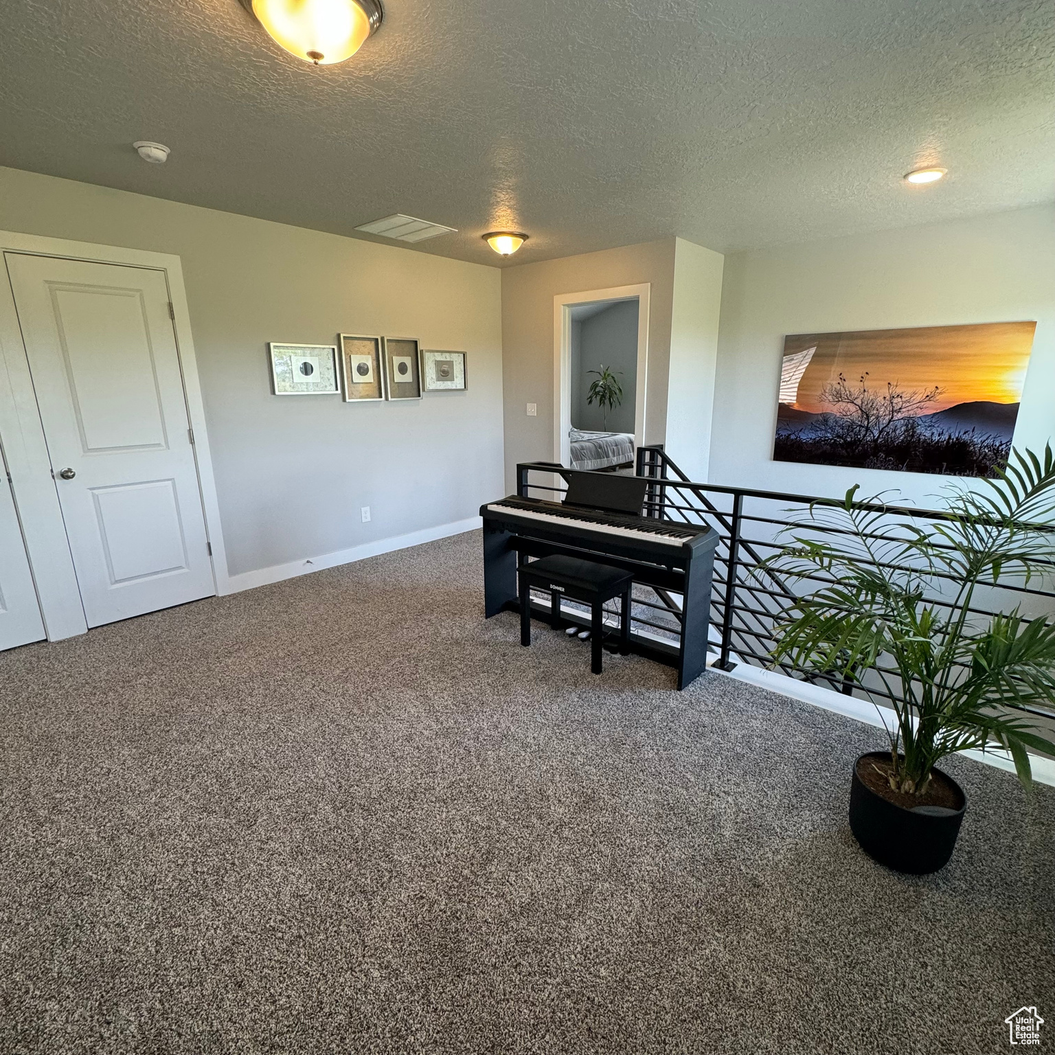 Miscellaneous room with a textured ceiling and carpet floors