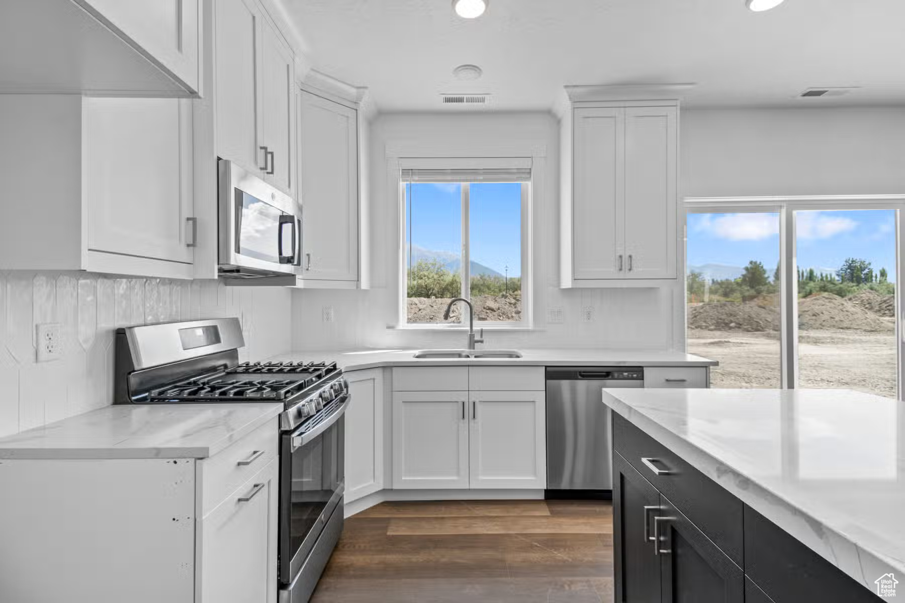 Kitchen featuring sink, plenty of natural light, stainless steel appliances, and dark hardwood / wood-style floors