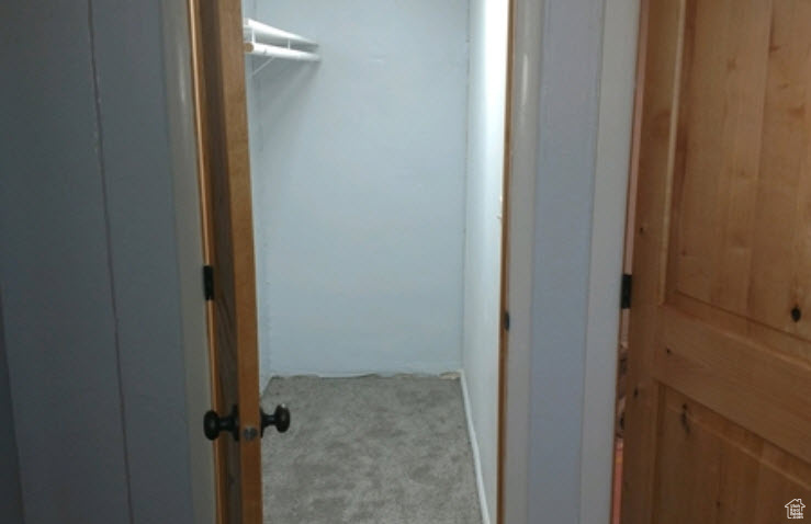 Basement Hallway with carpet