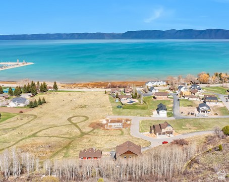 Drone / aerial view with a mountain view