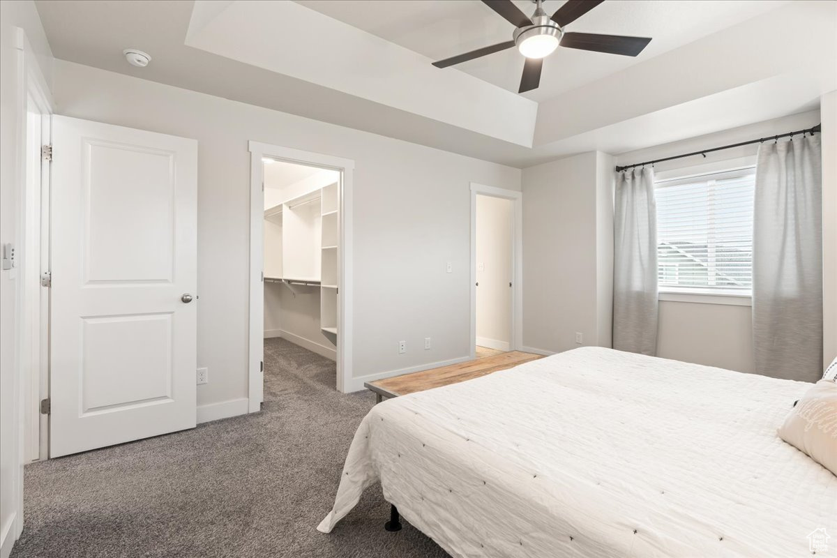 Primary bedroom with a spacious closet, ceiling fan, a tray ceiling, carpet flooring, and a closet