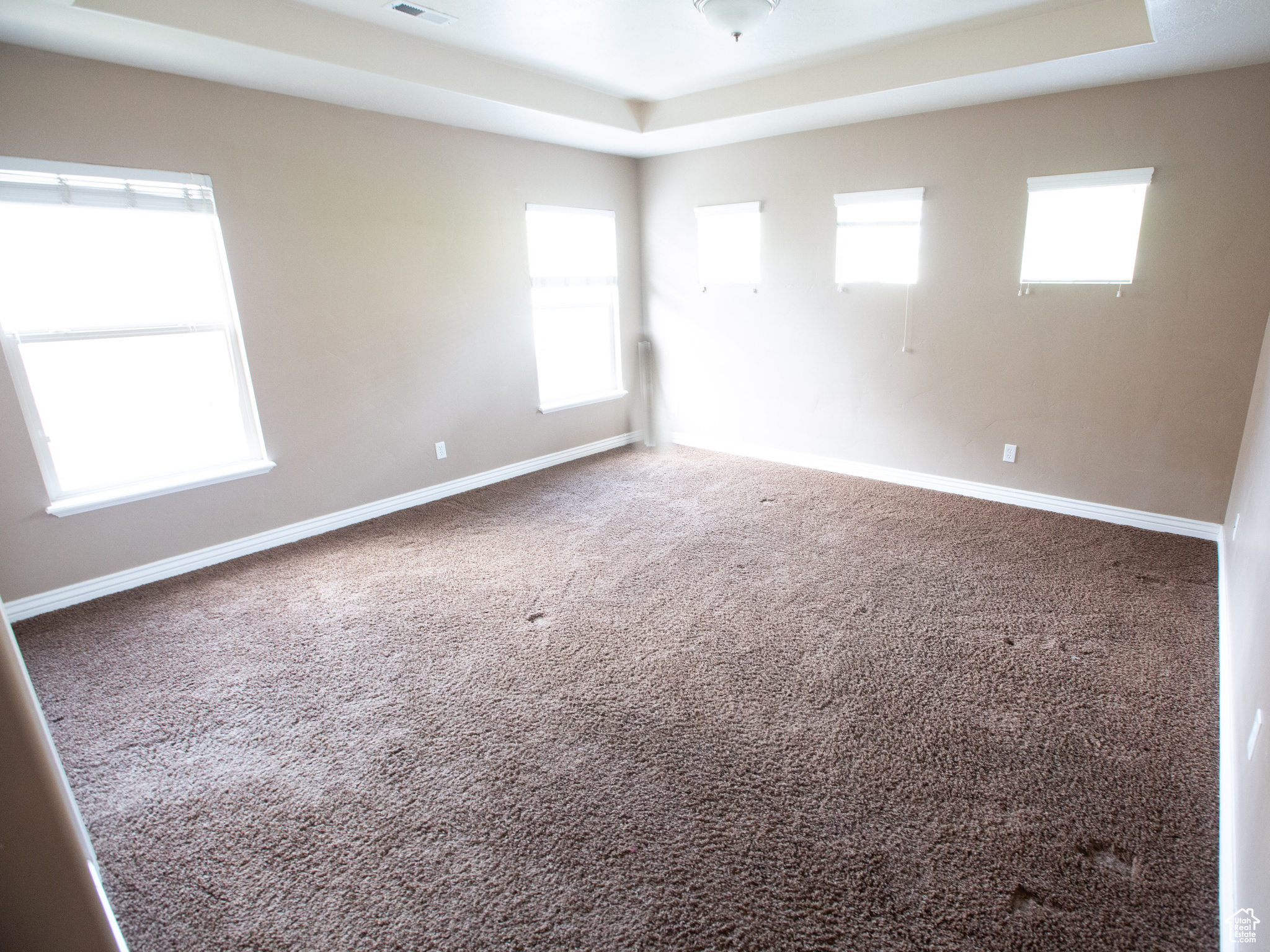 Spare room featuring a raised ceiling and carpet floors