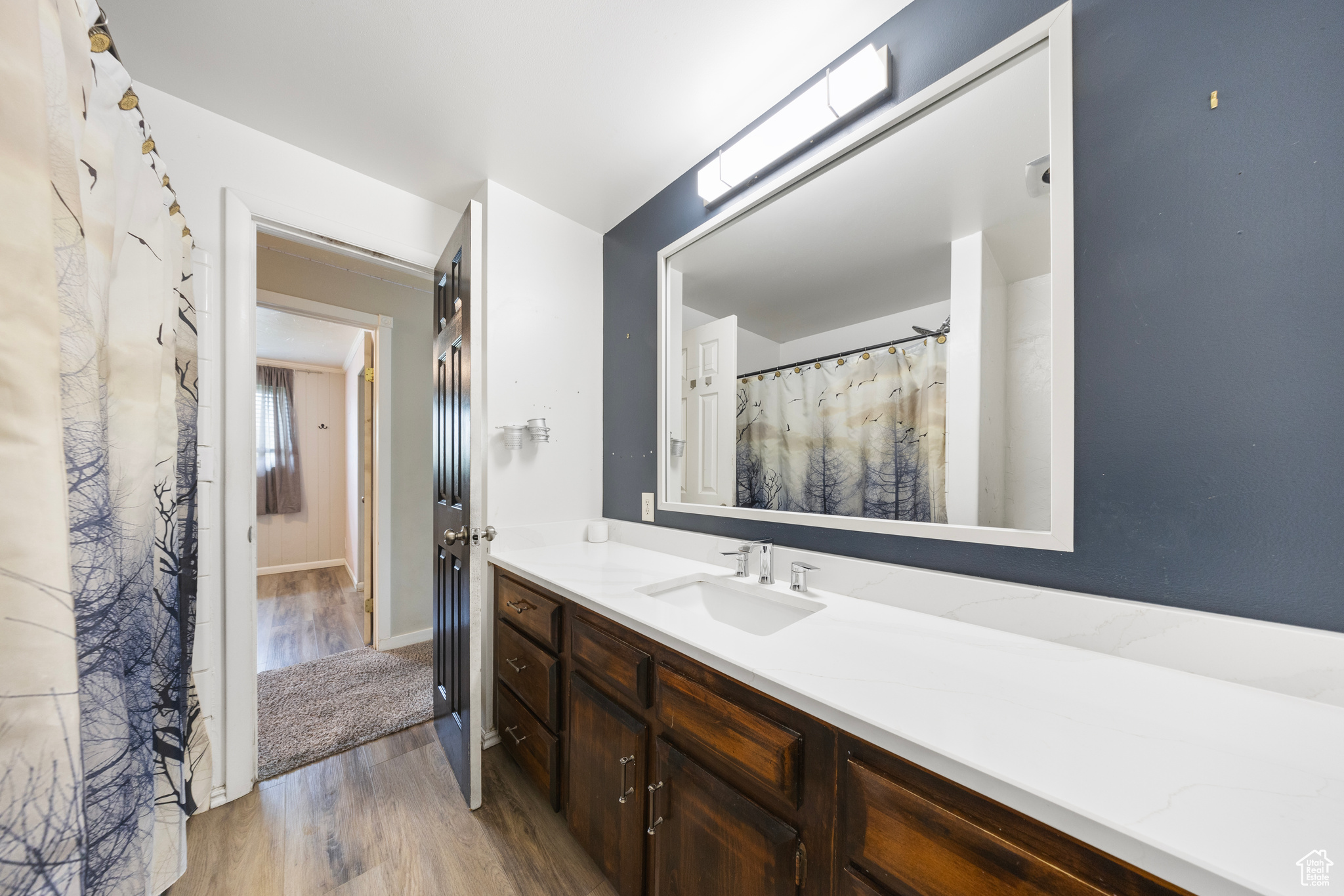 Bathroom with vanity with extensive cabinet space and hardwood / wood-style floors
