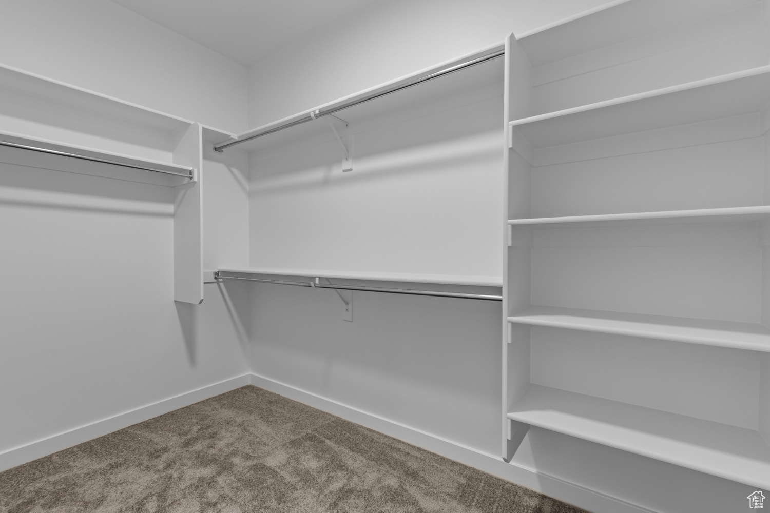 Spacious closet featuring carpet