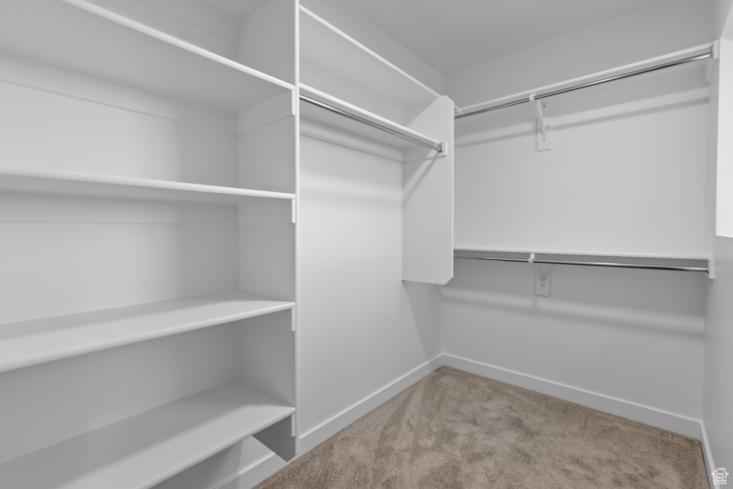 Walk in closet with carpet floors