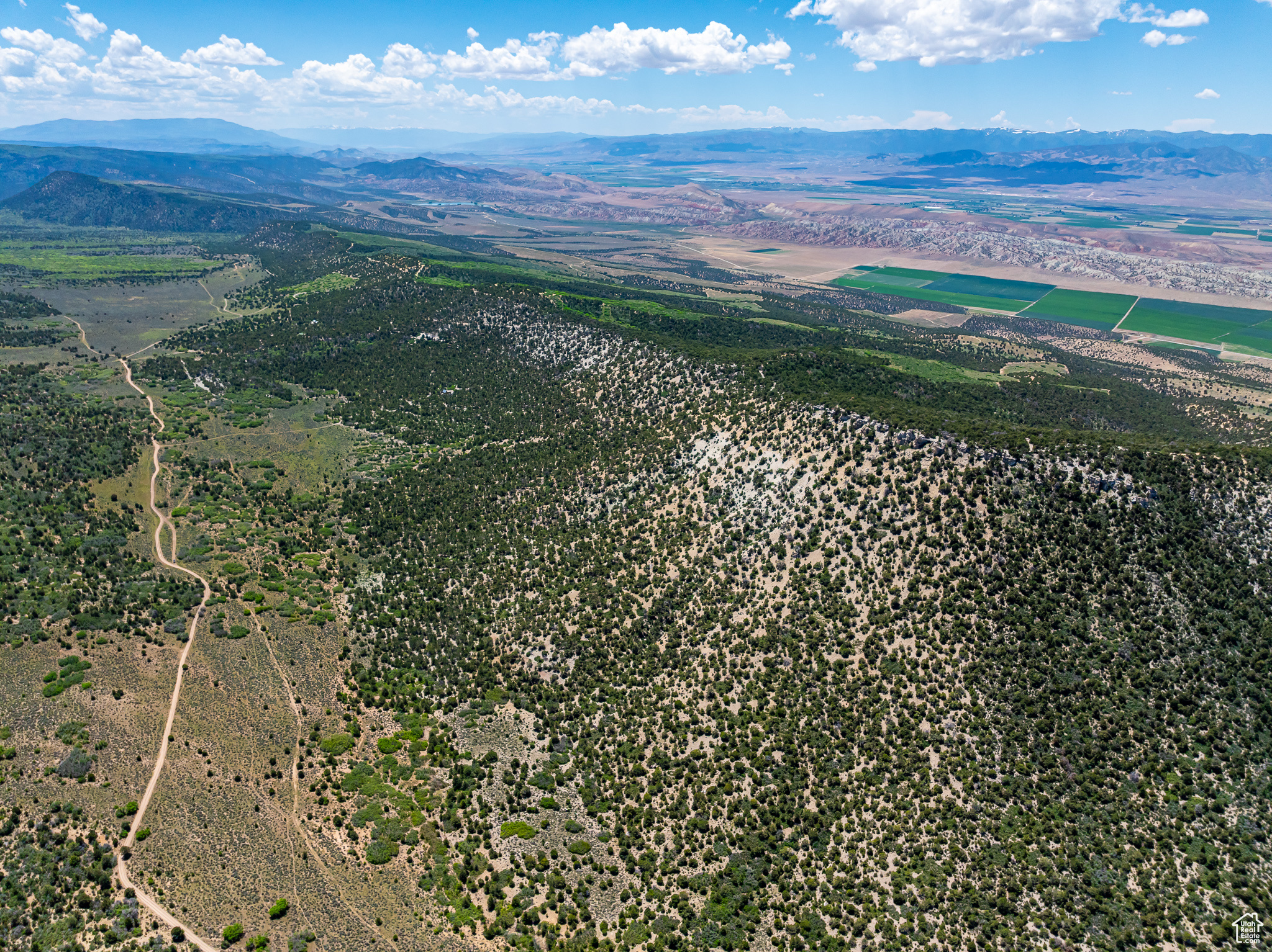 Drone / aerial view featuring a mountain view