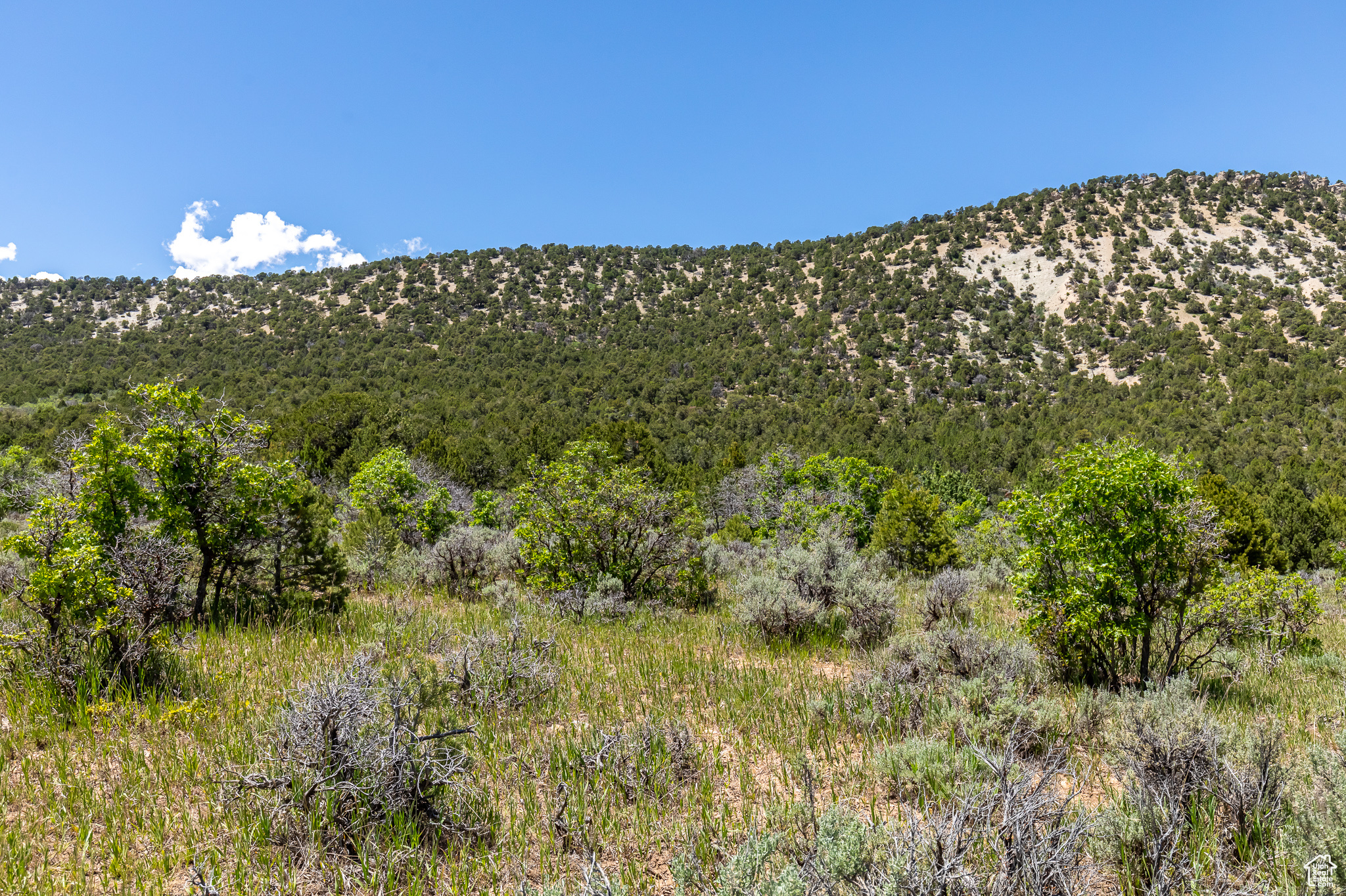 View of mountain feature